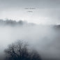 the album cover for Poppy Ackroyd - Liminal