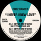 the album cover for Chez Damier - I Never Knew Love