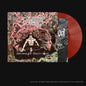 the album cover for Demigod - Slumber of Sullen Eyes
