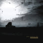 the album cover for Envy - Insomniac Doze - Gold [Colored Vinyl] (Gol) (Aniv)