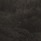 the album cover for Lesley Mok - Transient [Download Included]