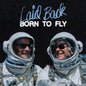 the album cover for Laid Back - Born To Fly