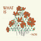 the album cover for Nois - What Is Nois
