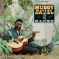 the album cover for Muddy Waters - Muddy, Brass and the Blues (chess Acoustic Sounds Series) [180 Gram]