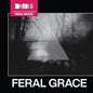 the album cover for Black Dog - Feral Grace