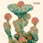 the album cover for John Paul Bohon - Terlingua