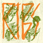 the album cover for Ribs - Cold Ribs