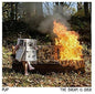 the album cover for Pup - Dream Is Over - Clear W/ Red & Orange Swirl [Clear Vinyl]