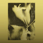 the album cover for Flying Lotus - 1983 [Reissue]