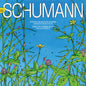 the album cover for Pierre Fouchenneret - Schumann: Complete Chamber Music & Vn Con (Live)