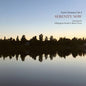 the album cover for Karin Hammar Fab 4 - Serenity Now