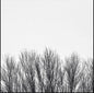 the album cover for Northwoods Improvisers - White Sky