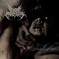 the album cover for Vulgar Mephitis - From Dust