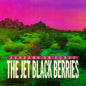 the album cover for Jet Black Berries - Sundown On Venus (Definitive Edition) (Gate)