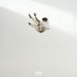 the album cover for Daniel Caesar - Pilgrim's Paradise (Blk) [Colored Vinyl] (Gate) [180 Gram] (Wht)
