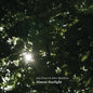 the album cover for Jem Finer  / Matthias,John - Almost Starlight