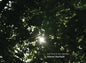 the album cover for Jem Finer  / Matthias,John - Almost Starlight