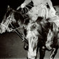 the album cover for Holy Motors - Heaven's Night