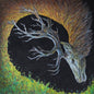 the album cover for Petrels - Infangthief - Clear Black Smoke (Blk) [Clear Vinyl] [Deluxe]