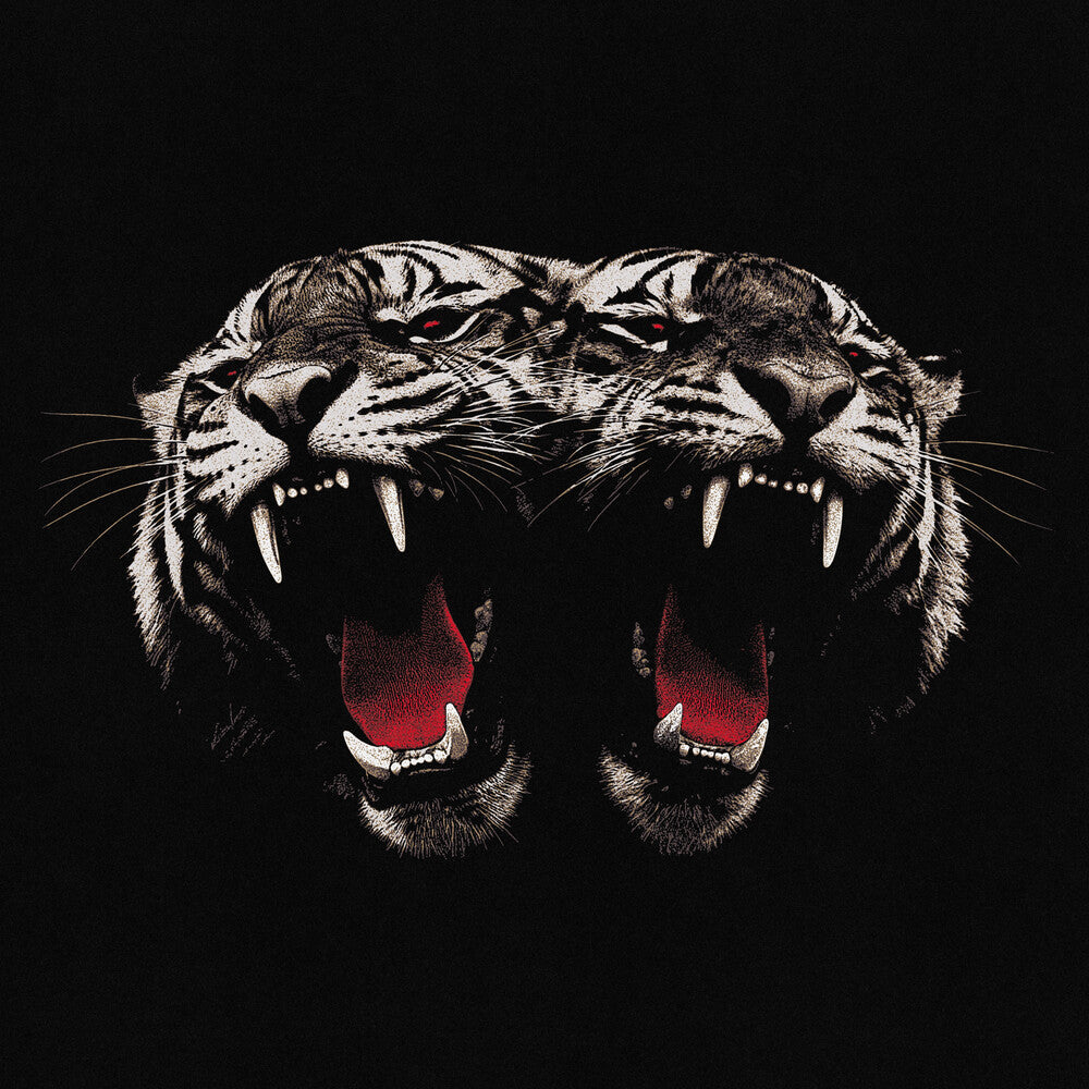 the album cover for Royal Blood - Dead Company