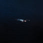 the album cover for Mustard Service - Paradise