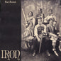 the album cover for Post Animal - Iron