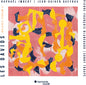 the album cover for Raphael Imbert - Les Davids (Invisible Stream 2)