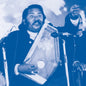 the album cover for Salamat Khan  Ali - Metamusik Festival Berlin '74 Vol Ii