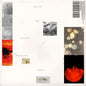 the album cover for Popp Polygonia - Apiformes