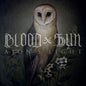 the album cover for Blood & Sun - Aion's Light