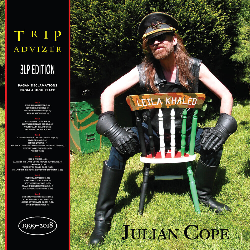 the album cover for Julian Cope - Trip Advizer