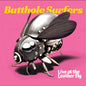 the album cover for Butthole Surfers - Live At The Leather Fly - Yellow/Red [Colored Vinyl] (Red)