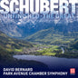 the album cover for David Bernard - Schubert: Symphony No 8 In B Minor D 759