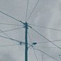 the album cover for Werner Dafeldecker  / Eliad Wagner - Fray Field