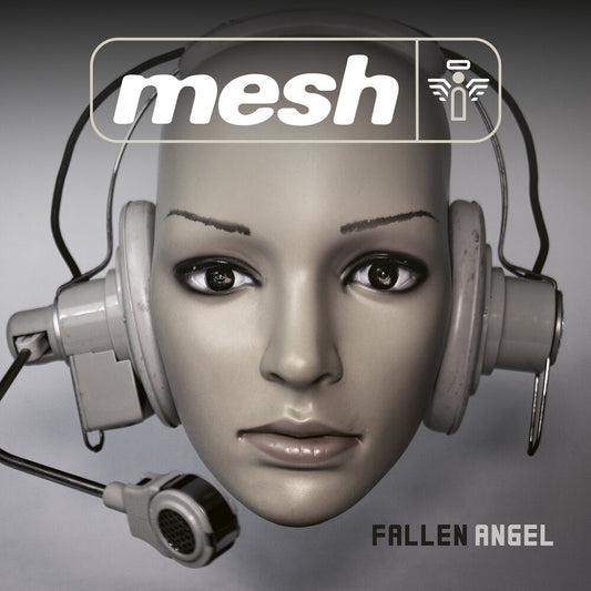 the album cover for Mesh - Fallen Angel