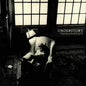 the album cover for Thomas Bartlett - Understory