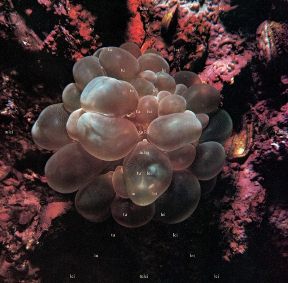 the album cover for Tulei - Tulei